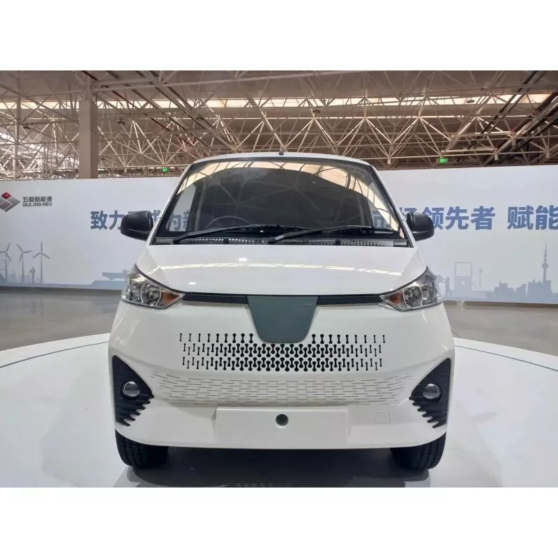 Dè a th’ ann am Van Mini Electric?