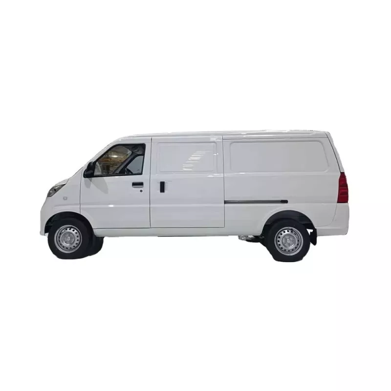 Van Mini dealain