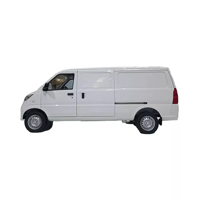 Bhan cargo Wuling G100
